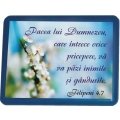 Magnet rama albastra Pacea lui Dumnezeu...
